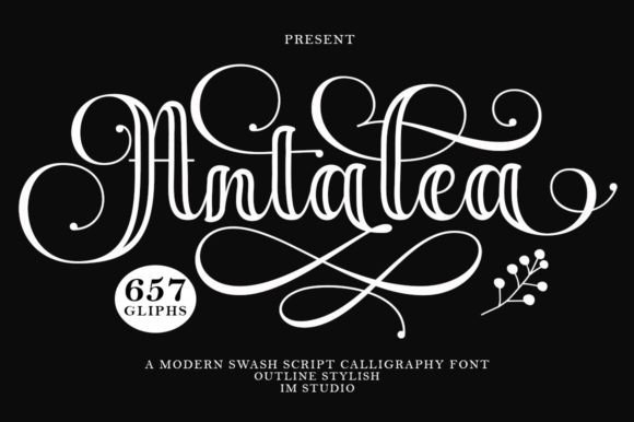 Antalea Outline: The Font That Elevates Your Brand