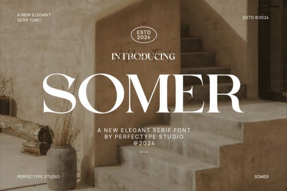 Choosing the Right Font: Why Somer Works for Modern Web Design