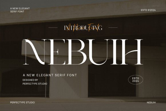 Font Choice That Elevates Your Brand: Nebuih