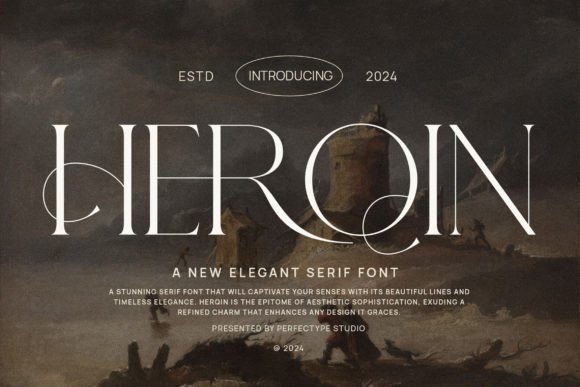 Herqin: A Serif Font That Elevates Your Digital Brand