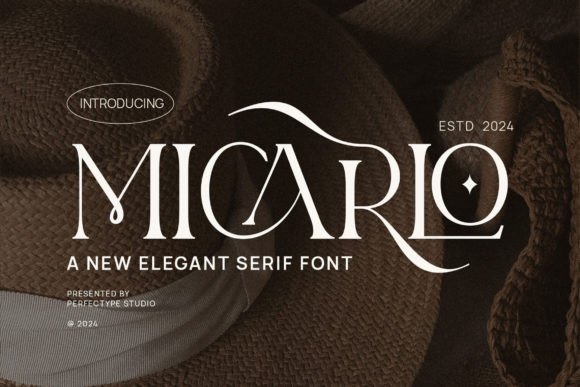How Micarlo Elevates Your Brand’s Typography