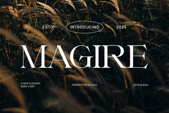 Magire: A Serif Font for Editorial Elegance