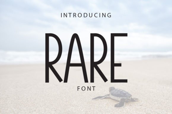 Rare: A Script Font for Sweet Campaigns