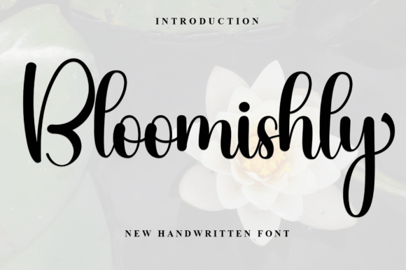 Transform Your Brand with Bloomishly