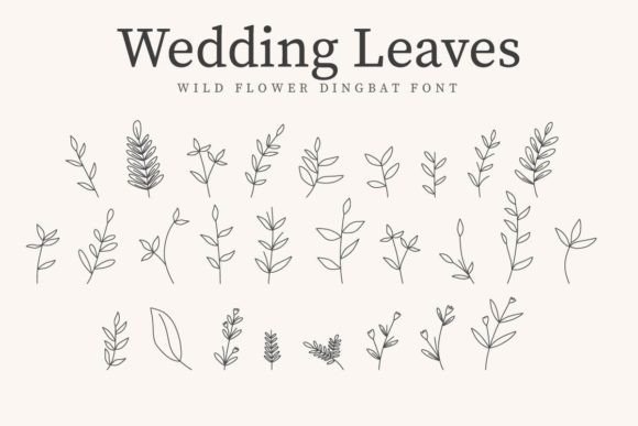 Wedding Leaves: A Font That Elevates Your Brand